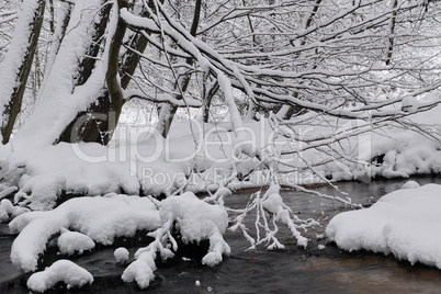 Aubachtal im Winter