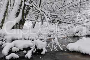 Aubachtal im Winter