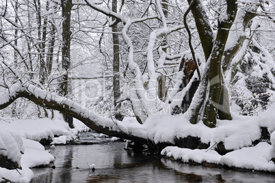 Aubachtal im Winter Aubachtal im Winter