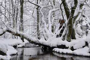 Aubachtal im Winter