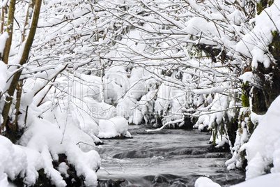 Aubachtal im Winter