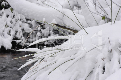 Aubachtal im Winter