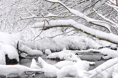 Aubachtal im Winter