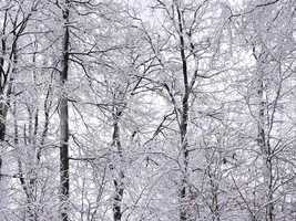 Winter im Naturpark Spessart