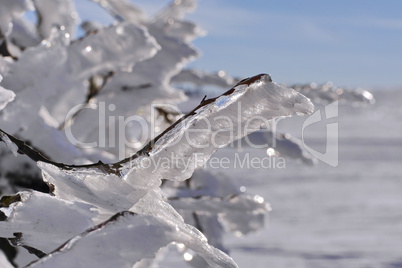 Winterimpression-Raureif