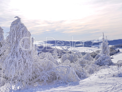 Winterimpression-Raureif, Hochrhoen