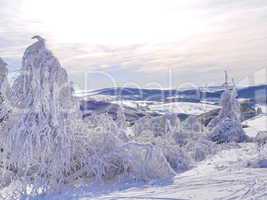 Winterimpression-Raureif, Hochrhoen