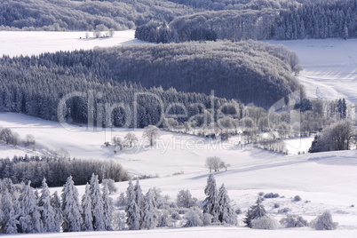 Hohe Rhoen von der Wasserkuppe