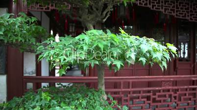 Yuyuan Garden slider filming