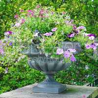 beautiful flower bed in vase