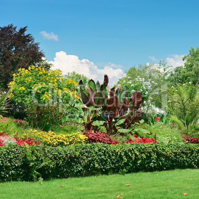 picturesque lawn in the park