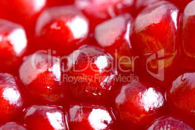 Pomegranate background. Macro of peeled ripe seeds