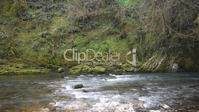 Mountain River among Trees and Stones in Gorge