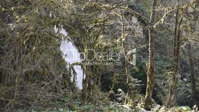 Mountain Waterfall and River in Gorge