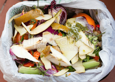 Organic waste for compost