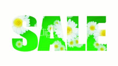 Sale Spring Summer Daisy (Loop)