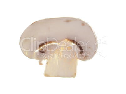 Champignon mushroom isolated