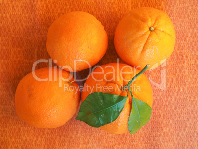 Orange fruit