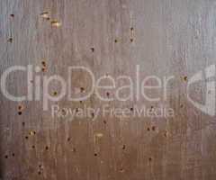 Wood damaged by furniture beetle