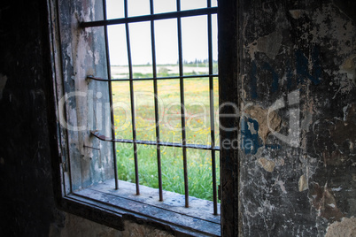 View of summer from the old window .