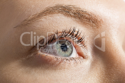 Close up Woman Eye Looking Up