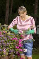 Blond woman pruning or picking flowers