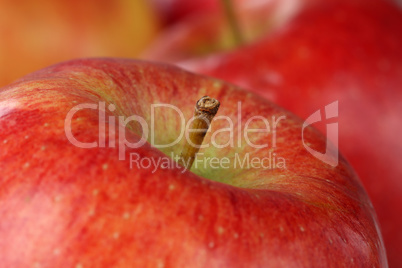 Macro roter Apfel Frucht