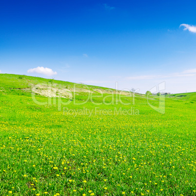 blue sky and green field