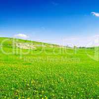 blue sky and green field