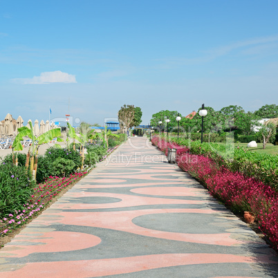 beautiful alley for walks