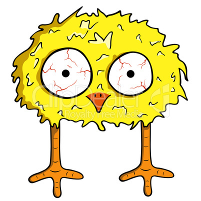 Cartoon chick