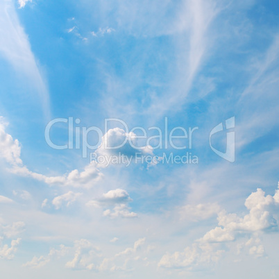 blue sky and white cumulus clouds