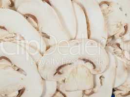 Champignon mushroom background