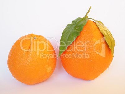 Orange fruit