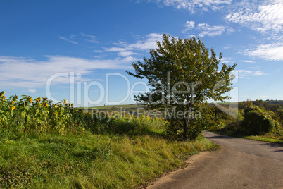 Sommerlandschaft