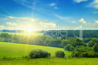 green field and blue sky with light clouds