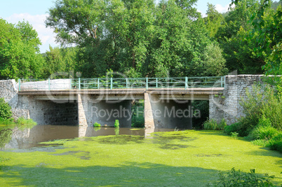 bridge over the river and aquatic plants