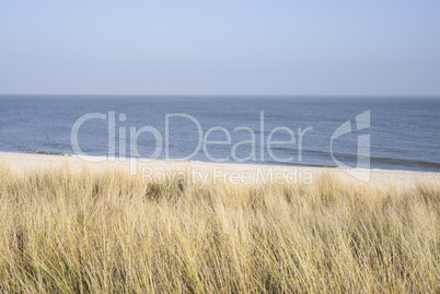 Dünenlandschaft auf Sylt, Schleswig-Holstein,Deutschland