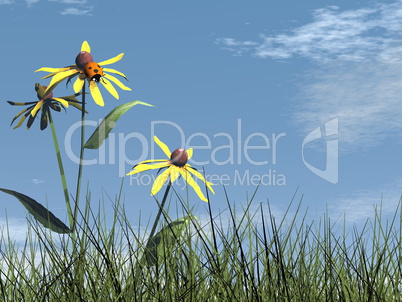 Ladybird - 3D render