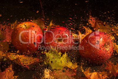 Autumn still life with apples