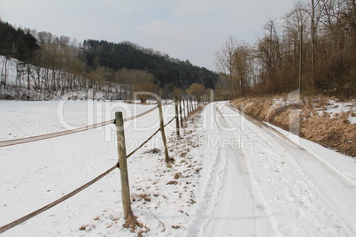 Winter landscape