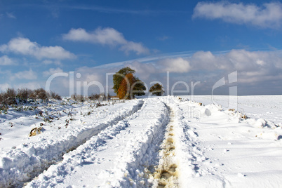 Winter field landscape