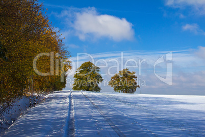 Winter field landscape