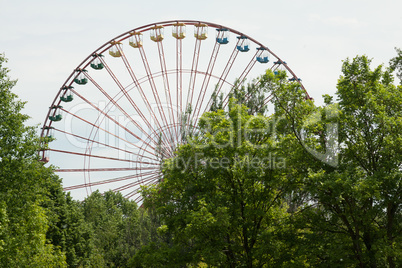 Riesenrad im Plenterwald