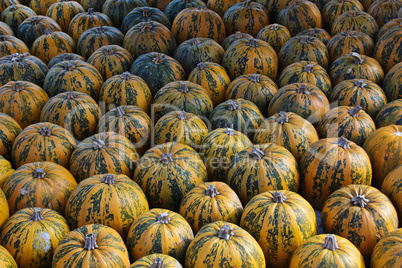 Pumpkins