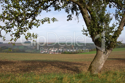 Landscape with a tree in the foreground