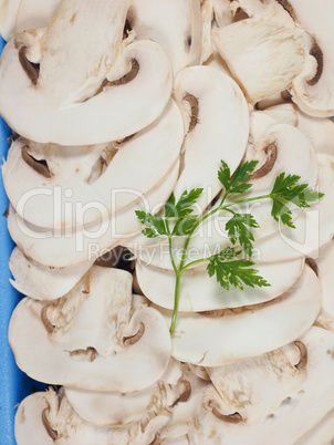 Champignon mushroom background