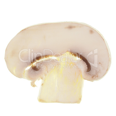Champignon mushroom isolated