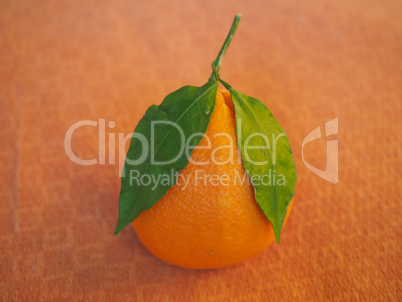 Orange fruit