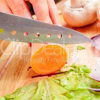 Woman's hands cutting vegetables